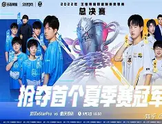 人类打得过森蚺吗